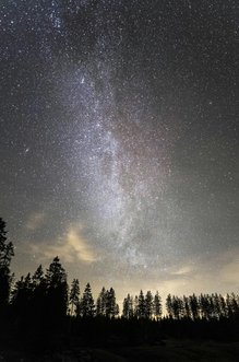 (c) Luckas Hartmann_pexels